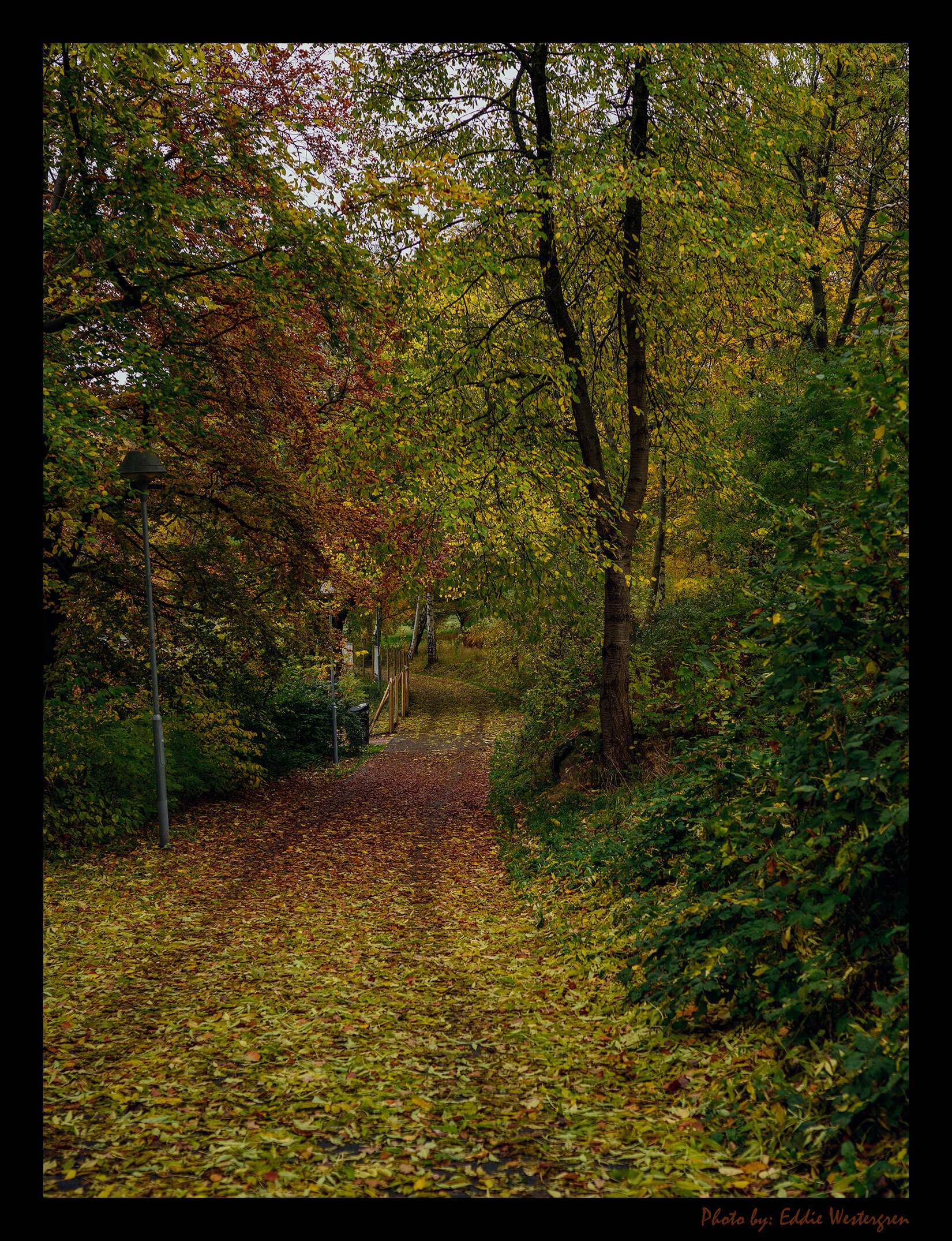 Färjenäsparken is a well-visited city park with several different play and activity areas and walking paths. In the park, for example, there is one of Hisingen's largest playgrounds, an outdoor classroom, a 1,400-meter exercise loop, a soccer field, a skate park, a court for street basketball, and viewing and picnic areas with built-in barbecue grills.
