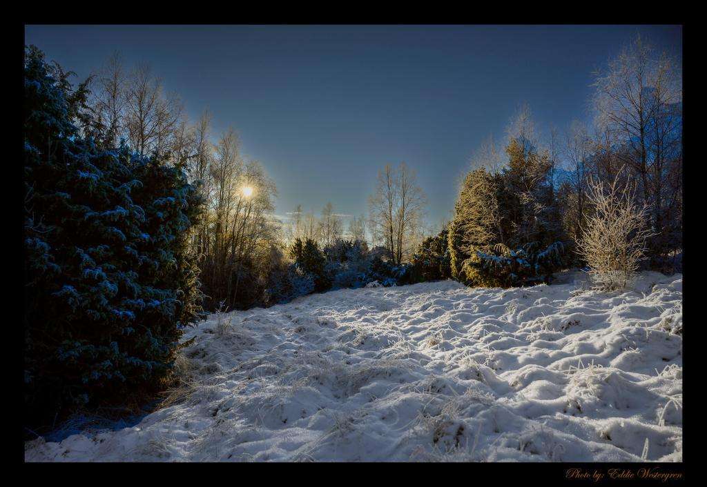 Vinter in Björlanda