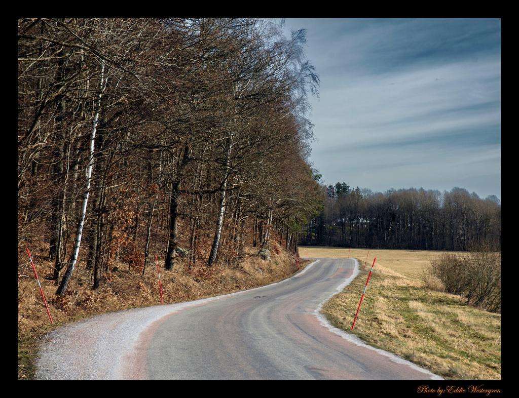 country road photo