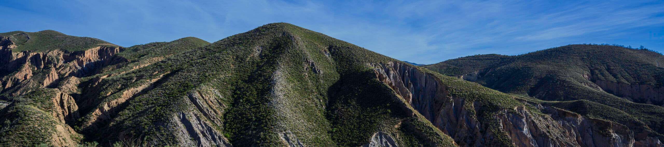 Cover photo