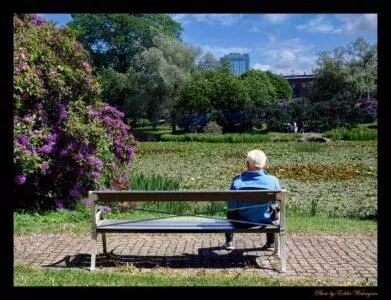 Man in park photo
