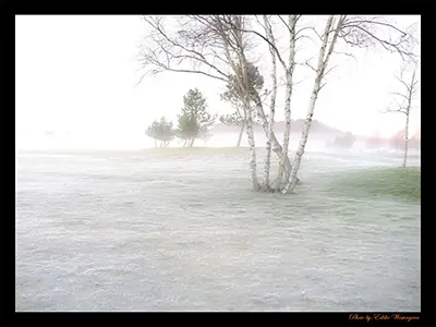 Winter on the golf course
