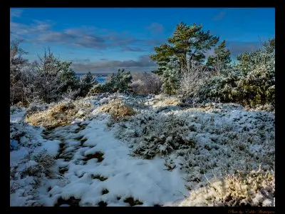 Winter in Björlanda