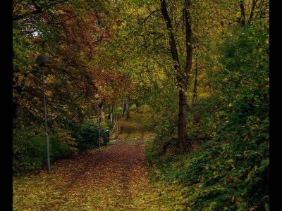 Färjenäsparken is a well-visited city park with several different play and activity areas and walking paths. In the park, for example, there is one of Hisingen's largest playgrounds, an outdoor classroom, a 1,400-meter exercise loop, a soccer field, a skate park, a court for street basketball, and viewing and picnic areas with built-in barbecue grills.