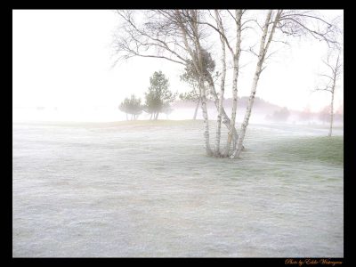 Winter morning photo