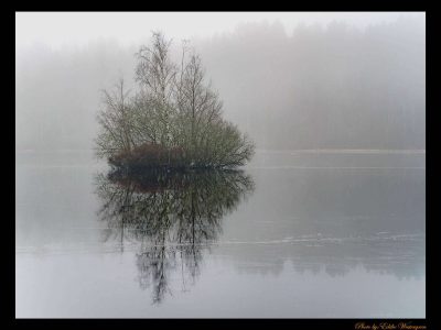 Fontin lake photo
