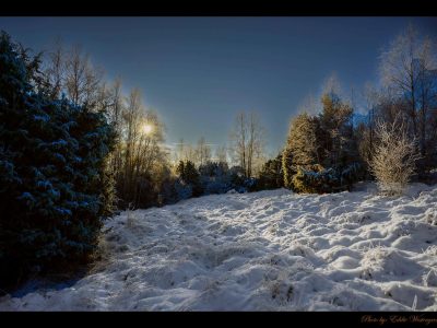 Vinter in Björlanda